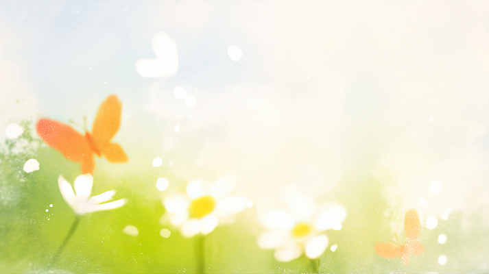 JPG 식물 동물 꽃 컬러 나비 백그라운드 일러스트 자연 하늘 생명 수채화 초원 여름 햇빛 환경 자유 비행 만개 뷰티풀 국내일러스트 AI일러스트 AI콘텐츠 계절 곤충 컨셉 태양 생태계 파일형식