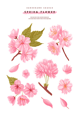 PSD 식물 꽃잎 꽃 예술 분홍색 꽃다발 잎 일러스트 봄꽃 자연 생명 정원 봄 머리핀 그림 손그림 화사함 조화 구성 국내일러스트 계절 컬러 컨셉 장신구 생태계 파일형식