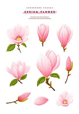 PSD 식물 계절 꽃잎 꽃 분홍색 잎 꽃무늬 일러스트 자연 생명 정원 봄 나뭇가지 원예 조화 만개 뷰티풀 국내일러스트 나무 컬러 무늬 취미 생태계 파일형식