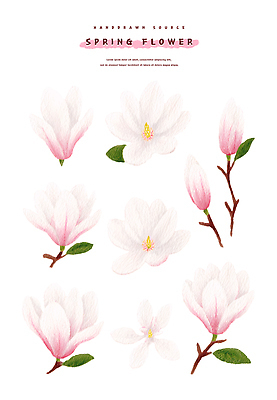 PSD 식물 디자인 꽃 예술 일러스트 재료 봄꽃 도안 자연 수채화 봄 다양 그림 손그림 봉오리 구분 색채 창작 국내일러스트 계절 다수 생태계 파일형식