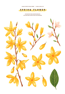 모양 PSD 식물 꽃잎 꽃 화초 예술 분홍색 컬러 잎 일러스트 봄꽃 자연 수채화 노란색 봄 성장 꽃봉오리 그림 조화 국내일러스트 계절 생태계 파일형식