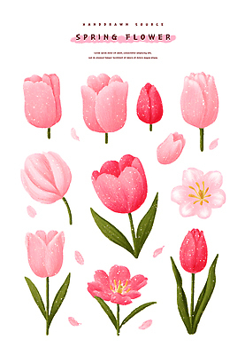 모양 PSD 식물 디자인 꽃 화초 예술 분홍색 컬러 잎 일러스트 도안 자연 생명 수채화 빨간색 정원 봄 튤립 벚꽃 그림 국내일러스트 계절 생태계 파일형식