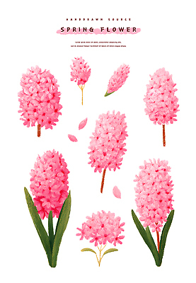 PSD 식물 디자인 꽃잎 꽃 예술 줄기 분홍색 컬러 잎 일러스트 자연 생명 봄 오브젝트 그림 손그림 조화 뷰티풀 국내일러스트 계절 생태계 파일형식