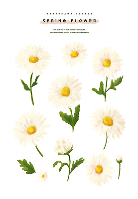 PSD 식물 계절 꽃 화초 줄기 컬러 잎 일러스트 자연 생명 노란색 정원 봄 성장 흰색 꽃술_꽃 원예 대추 뷰티풀 국내일러스트 취미 생태계 파일형식