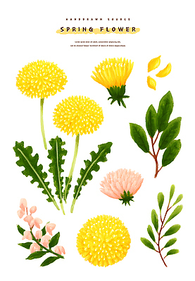 PSD 식물 디자인 꽃잎 꽃 컬러 꽃다발 잎 일러스트 봄꽃 자연 생명 수채화 잔디 봄 민들레 그림 헬리오트로프 국내일러스트 계절 생태계 파일형식