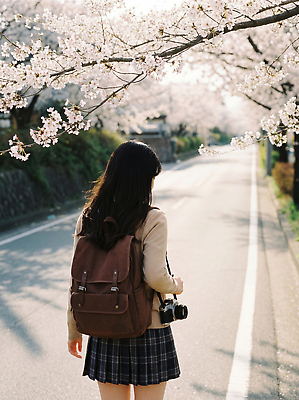 JPG 나무 편집이미지 학생 꽃 교복 길 여행 학교 여고생 거리 풍경 카메라 일본 봄 벚꽃 뒤돌아보기 백팩 의료성형뷰티 편집실사 AI인물포토 AI콘텐츠 식물 옷 계절 여자 교육 아시아 가방 모션 고등학생 전자제품 CG 파일형식 AI포토