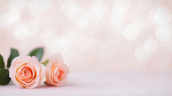 JPG 식물 편집이미지 기념일 꽃 행복 분홍색 백그라운드 자연 탁자 결혼식 조명 선물 장식 장미 로맨틱 분위기 화사함 뷰티풀 이미지편집 AI포토 AI콘텐츠 감정 컬러 가구 결혼 컨셉 이벤트 생태계 파일형식