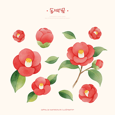 식물 디자인 꽃 취미 생태계 파일형식 동백 수채화 그림 자연 예술 색감 잎 뷰티풀 정원 원예 꽃밭 인테리어 계절 PSD 일러스트 국내일러스트