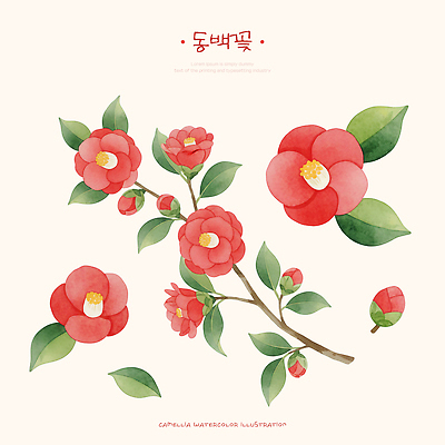 식물 계절 꽃 잎 취미 감각 생태계 파일형식 동백 나뭇잎 자연 수채화 뷰티풀 봄 생명 컬러 원예 정원 부드러움 조화 PSD 일러스트 국내일러스트