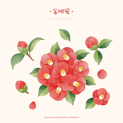 식물 디자인 계절 꽃 취미 생태계 파일형식 동백 수채화 잎 자연 예술 그림 컬러 캔버스 조화 백그라운드 여름 인테리어 원예 식물원 정원 꽃병 PSD 일러스트 국내일러스트