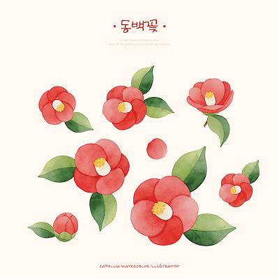 식물 꽃 컬러 컨셉 생태계 파일형식 동백 수채화 그림 잎 예술 자연 스타일 빨간색 정원 디자인 화사함 배열 꽃잎 생명 뷰티풀 PSD 일러스트 국내일러스트