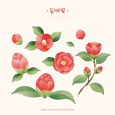 식물 계절 꽃 모션 취미 생태계 파일형식 동백 잎 자연 수채화 그림 디자인 꽃잎 예술 그리기 컬러 원예 풍경 정원 봄 PSD 일러스트 국내일러스트