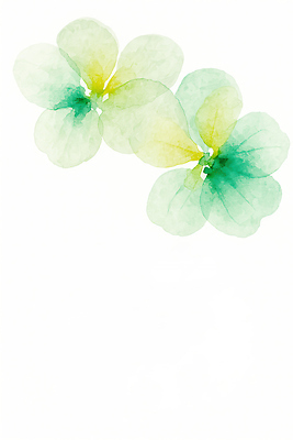 JPG 모양 식물 디자인 꽃 예술 컬러 백그라운드 일러스트 자연 수채화 장식 초록색 노란색 표현 그림 채색 발상 뷰티풀 색감 국내일러스트 AI일러스트 AI콘텐츠 미술 생태계 파일형식