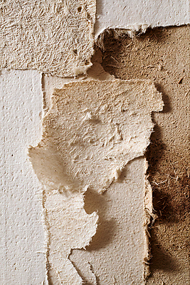 JPG 편집이미지 종이 예술 컬러 조각 백그라운드 재료 표면 작업 공예 배열 질감 찢어짐 나눔 디테일 편집실사 AI포토 AI콘텐츠 모션 취미 CG 파일형식