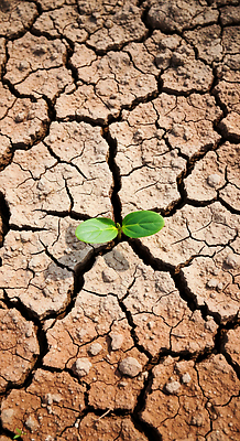 JPG 식물 편집이미지 자연 생명 물 새싹 환경 힘 도전 성장 균열 생태계 재생 가뭄 이미지편집 AI컴퓨터그래픽 AI콘텐츠 자연요소 모션 날씨 파일형식