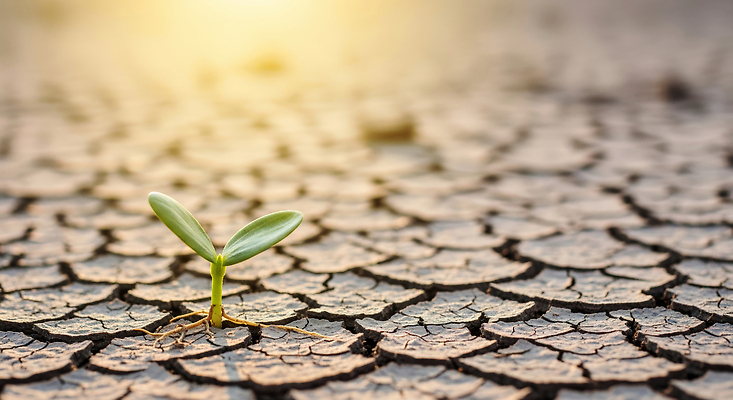 JPG 식물 편집이미지 지구 자연 생명 햇빛 새싹 환경 희망 흙 성장 균열 뿌리 가뭄 발아 이미지편집 AI컴퓨터그래픽 AI콘텐츠 감정 모션 날씨 태양 생태계 파일형식