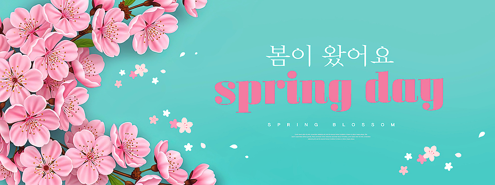 PSD 나무 편집이미지 계절 꽃잎 컬러 자연 풍경 여러명 햇빛 봄 벚꽃 즐거움 파란배경 화사함 꽃구경 만개 이미지편집 식물 꽃 감정 다수 백그라운드 컨셉 사람 파란색 태양 생태계 파일형식