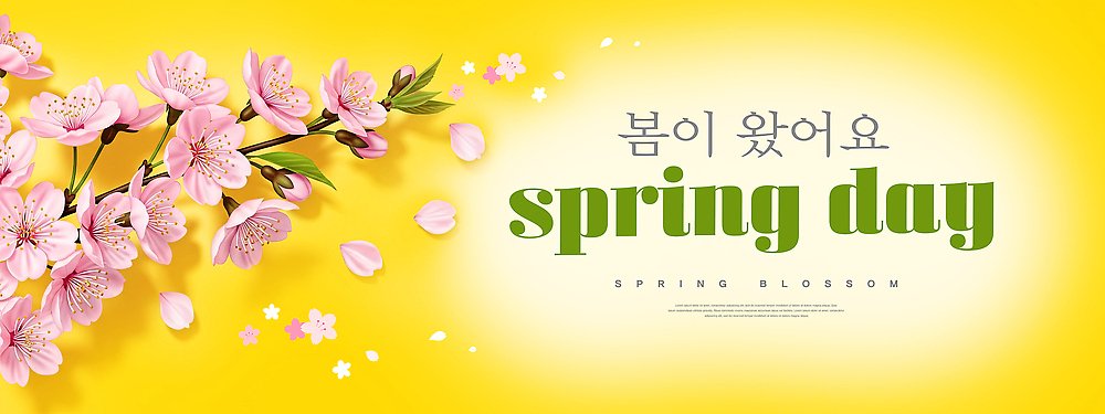 PSD 식물 편집이미지 계절 꽃잎 꽃 컬러 백그라운드 잎 자연 생명 햇빛 노란색 봄 벚꽃 꽃집 뷰티풀 이미지편집 태양 상점 생태계 파일형식