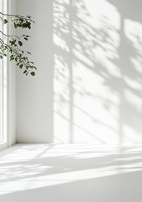 JPG 식물 편집이미지 벽 창문 자연 나뭇잎 조명 실내 그림자 햇빛 공간 방 오후 청명 평면 편집실사 AI포토 AI콘텐츠 잎 내부 태양 CG 생태계 파일형식