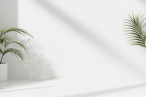 JPG 식물 편집이미지 화분 벽 바닥 실내 따뜻함 밝음 그림자 장식 초록색 햇빛 환경 공간 심플 공기정화 편집실사 AI포토 AI콘텐츠 컬러 내부 태양 CG 정화 파일형식