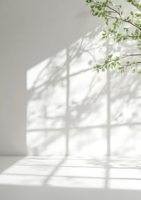 JPG 식물 편집이미지 디자인 벽 창문 자연 조명 실내 그림자 일상 여름 빛 햇빛 공간 나뭇가지 스포트라이트 편집실사 AI포토 AI콘텐츠 나무 계절 내부 라이프 태양 CG 생태계 파일형식