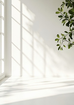 JPG 식물 편집이미지 벽 창문 자연 나뭇잎 조명 바닥 실내 그림자 빛 햇빛 공간 광선 땀 편집실사 AI포토 AI콘텐츠 잎 내부 태양 CG 생태계 파일형식