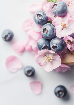 JPG 편집이미지 그릇 꽃잎 음식 과일 자연 식탁 디저트 요리 식사 샐러드 신선 프레젠테이션 블루베리 색감 편집실사 AI포토 AI콘텐츠 식기 꽃 탁자 CG 생태계 파일형식