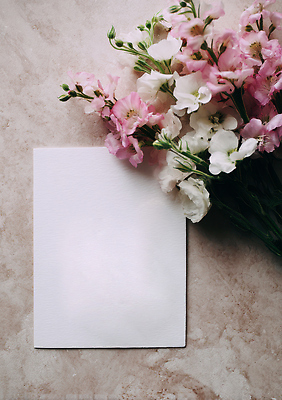 JPG 편집이미지 디자인 꽃 예술 자연 바닥 발렌타인데이 이벤트 장식 사무실 장미 공간 흰색 작업 배열 장면 창작 Pink 편집실사 AI포토 AI콘텐츠 식물 컬러 비즈니스 데이이벤트 CG 생태계 파일형식