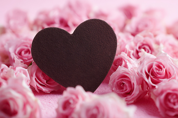 JPG 편집이미지 디자인 기념일 꽃 감정 분홍색 컬러 백그라운드 발렌타인데이 선물 사랑 이벤트 장식 장미 로맨틱 하트 축하 편집실사 AI포토 AI콘텐츠 모양 식물 컨셉 데이이벤트 CG 파일형식