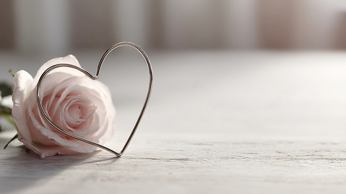 JPG 편집이미지 기념일 꽃 감정 조각 데이트 자연 탁자 사랑 장식 장미 금속 하트 오브젝트 뷰티풀 스타일 이미지편집 AI포토 AI콘텐츠 모양 식물 가구 재질 이벤트 생태계 파일형식