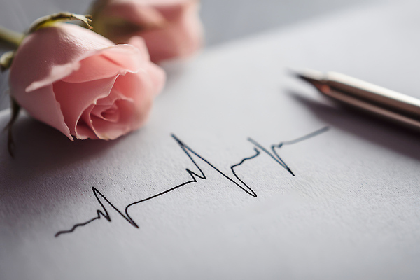 JPG 편집이미지 꽃 감정 종이 예술 선 자연 생명 문구용품 사랑 장미 펜 심장 표현 맥박 오브젝트 드로잉 이미지편집 AI포토 AI콘텐츠 식물 의학 미술 필기구 장기_의학 생태계 파일형식