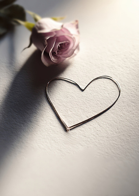 JPG 편집이미지 디자인 꽃 감정 예술 컬러 탁자 사랑 일상 장식 장미 하트 오브젝트 철사 이미지편집 AI포토 AI콘텐츠 모양 식물 가구 라이프 파일형식