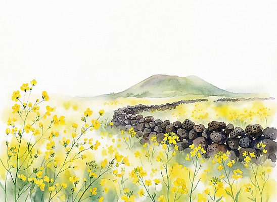 JPG 식물 길 꽃밭 일러스트 자연 하늘 바람 산 돌담 풍경 초원 제주도 노란색 봄 농촌 유채 그림 뷰티풀 유채밭 국내일러스트 AI일러스트 AI콘텐츠 자연요소 계절 꽃 컬러 밭 날씨 한국 담장 돌_바위 시골 생태계 파일형식