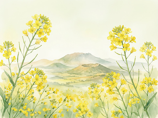 JPG 주간 식물 꽃 도로 컬러 여행 일러스트 자연 탁자 산 풍경 초원 제주도 봄 시골 유채 유채밭 탐방 국내일러스트 AI일러스트 AI콘텐츠 자연요소 계절 길 가구 밭 교통시설 한국 생태계 파일형식