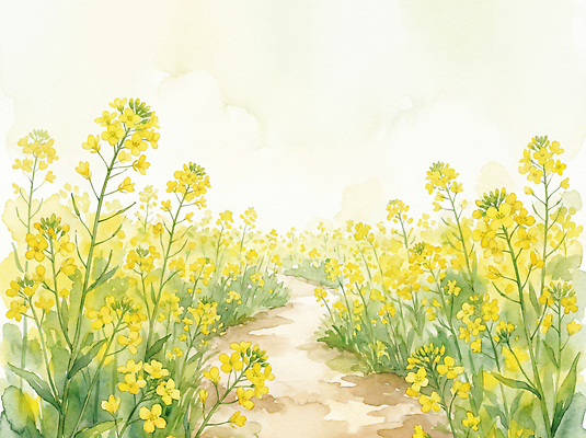 JPG 식물 꽃 길 꽃밭 일러스트 자연 하늘 생명 바람 산 풍경 초원 햇빛 제주도 노란색 일몰 봄 산책 농촌 유채 유채밭 국내일러스트 AI일러스트 AI콘텐츠 자연요소 계절 컬러 밭 날씨 휴식 한국 태양 노을 시골 생태계 파일형식