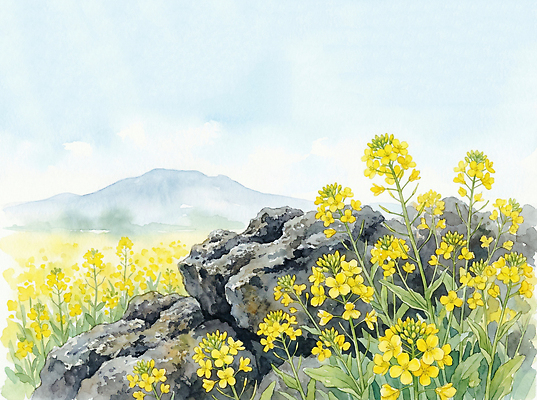 JPG 식물 꽃 꽃밭 일러스트 자연 하늘 바람 산 풍경 초원 햇빛 제주도 봄 돌_바위 유채 조경 색감 유채밭 국내일러스트 AI일러스트 AI콘텐츠 자연요소 계절 밭 날씨 한국 태양 생태계 파일형식