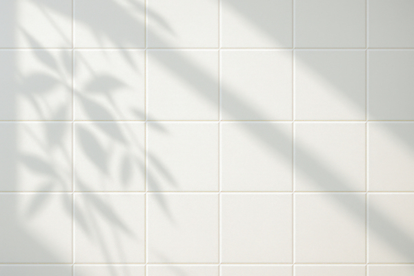 JPG 편집이미지 디자인 벽 패턴 창문 자연 나뭇잎 실내 그림자 장식 빛 햇빛 공간 흰색 분위기 타일 질감 단순화된 편집실사 AI포토 AI콘텐츠 컬러 컨셉 잎 무늬 내부 태양 CG 생태계 파일형식