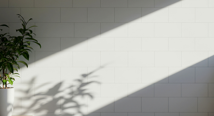 JPG 식물 편집이미지 화초 벽 잎 패턴 창문 자연 조명 실내 밝음 그림자 야외 햇빛 공간 오후 편집실사 AI포토 AI콘텐츠 무늬 내부 태양 CG 생태계 파일형식