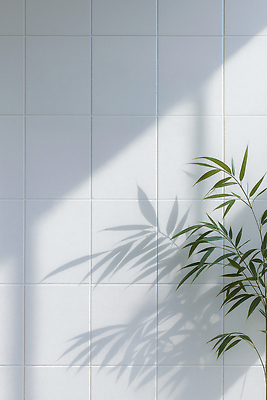 JPG 식물 편집이미지 벽 패턴 창문 조명 실내 그림자 인테리어 햇빛 공간 흰색 편집실사 AI포토 AI콘텐츠 디자인 컬러 무늬 내부 태양 CG 파일형식