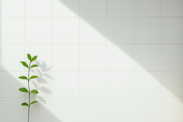 JPG 식물 편집이미지 벽 컬러 창문 자연 표면 조명 실내 그림자 인테리어 햇빛 공간 흰색 타일 편집실사 AI포토 AI콘텐츠 디자인 내부 태양 CG 생태계 파일형식