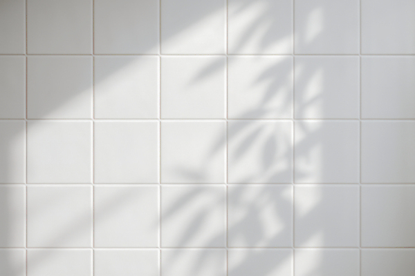 JPG 모양 편집이미지 디자인 벽 창문 자연 주택 실내 그림자 빛 햇빛 태양 공간 흰색 타일 이미지 오늘 오후 편집실사 AI포토 AI콘텐츠 자연요소 컬러 내부 건물 CG 생태계 파일형식