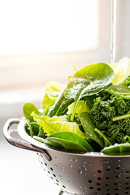 JPG 편집이미지 음식 채소 재료 건강 요리 물 샐러드 물방울 신선 씻기 상추 준비 시금치 케일 이미지편집 AI포토 AI콘텐츠 자연요소 청결 파일형식