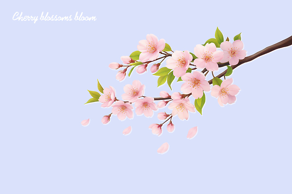 PSD 디자인 응시 계절 꽃 예술 분홍색 잎 일러스트 자연 형상 풍경 파란색 맑음 봄 벚꽃 머리핀 떨어짐 뷰티풀 국내일러스트 식물 시선 컬러 컨셉 장신구 날씨 생태계 파일형식