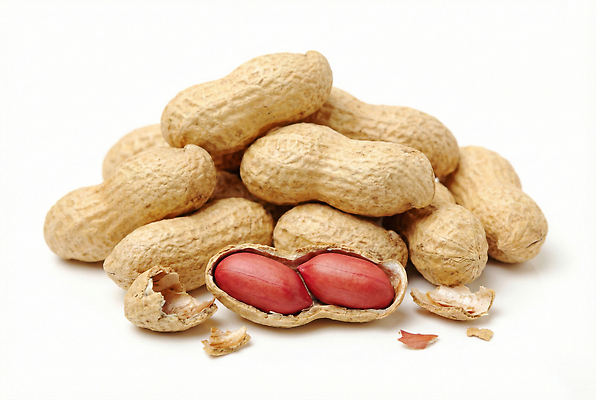 JPG 편집이미지 음식 재료 디저트 건강 요리 씨앗 농작물 과자 맛 땅콩 정월대보름 단백질 땅콩껍질 편집실사 AI포토 AI콘텐츠 식물 명절 컨셉 농업 견과류 껍질 CG 영양소 파일형식