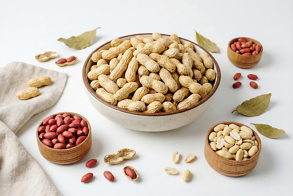 JPG 편집이미지 그릇 음식 재료 자연 탁자 디저트 건강 요리 식사 견과류 원예 땅콩 정월대보름 조합 편집실사 AI포토 AI콘텐츠 식기 명절 가구 취미 CG 생태계 파일형식