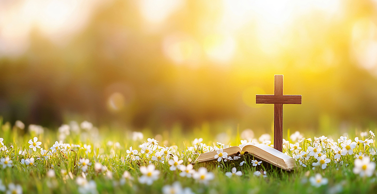 JPG 편집이미지 꽃 기독교 종교 십자가 자연 초록색 여름 햇빛 평화 일출 성경 일몰 봄 기도 이미지편집 AI컴퓨터그래픽 AI콘텐츠 식물 계절 컬러 컨셉 종교용품 태양 노을 생태계 파일형식