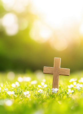 JPG 나무 편집이미지 꽃 기독교 종교 상징 십자가 자연 생명 기념 여름 햇빛 평화 봄 목장 영혼 조화 성지 이미지편집 AI컴퓨터그래픽 AI콘텐츠 식물 계절 컨셉 태양 생태계 파일형식