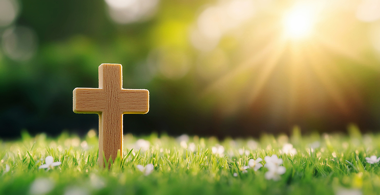 JPG 나무 편집이미지 사계절 꽃 기독교 종교 십자가 자연 잔디 여름 햇빛 평화 봄 기도 부활 조화 숭배 이미지편집 AI컴퓨터그래픽 AI콘텐츠 식물 계절 컨셉 태양 생태계 파일형식