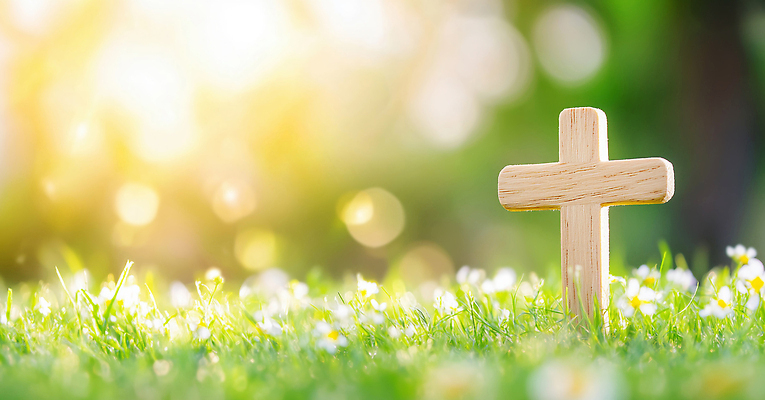 JPG 나무 편집이미지 꽃 기독교 종교 상징 십자가 자연 잔디 초원 초록색 여름 빛 평화 봄 목초지 이미지편집 AI컴퓨터그래픽 AI콘텐츠 식물 계절 컬러 컨셉 목장 생태계 파일형식 초원_자연