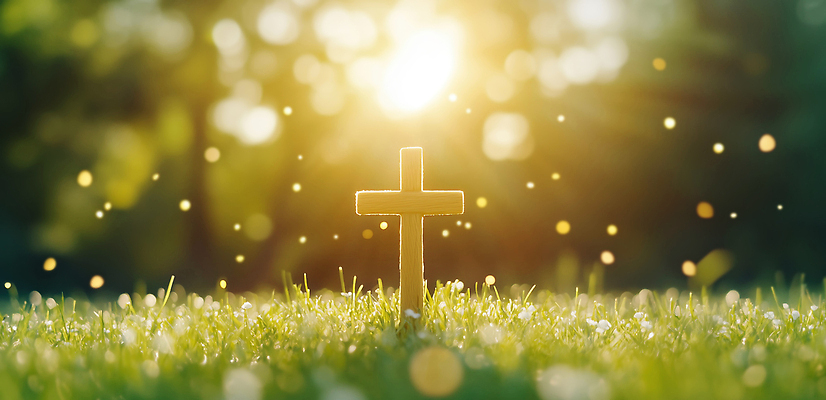 JPG 나무 편집이미지 꽃 기독교 종교 상징 십자가 자연 잔디 여름 빛 반짝임 햇빛 봄 공간 금성 이미지편집 AI컴퓨터그래픽 AI콘텐츠 식물 계절 모션 태양 행성 생태계 파일형식